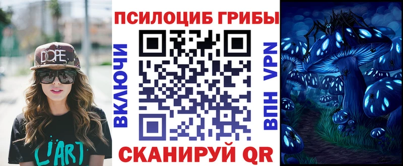 Псилоцибиновые грибы Psilocybe  что такое   Рудня 